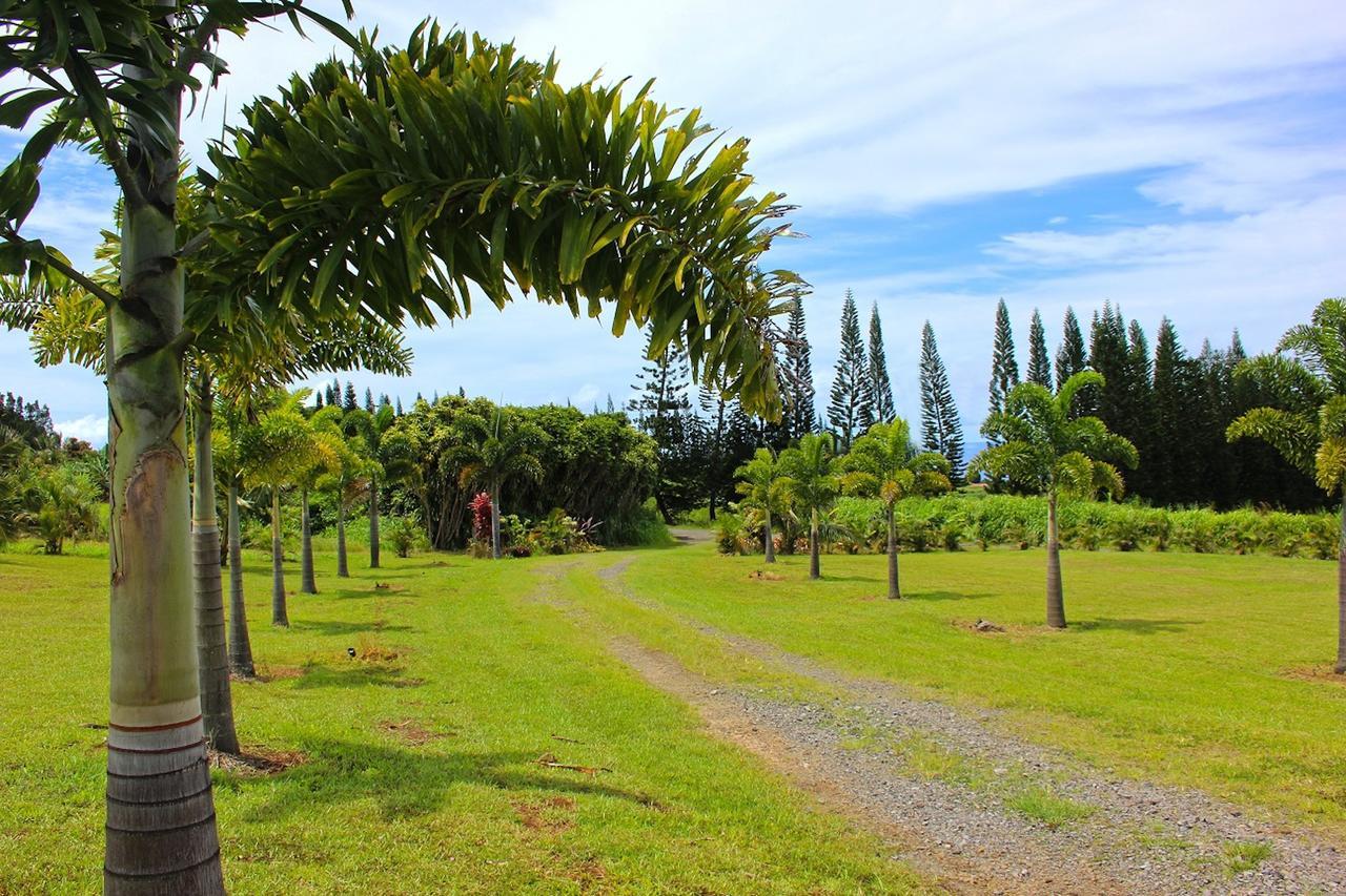 Mahana House Country 4*